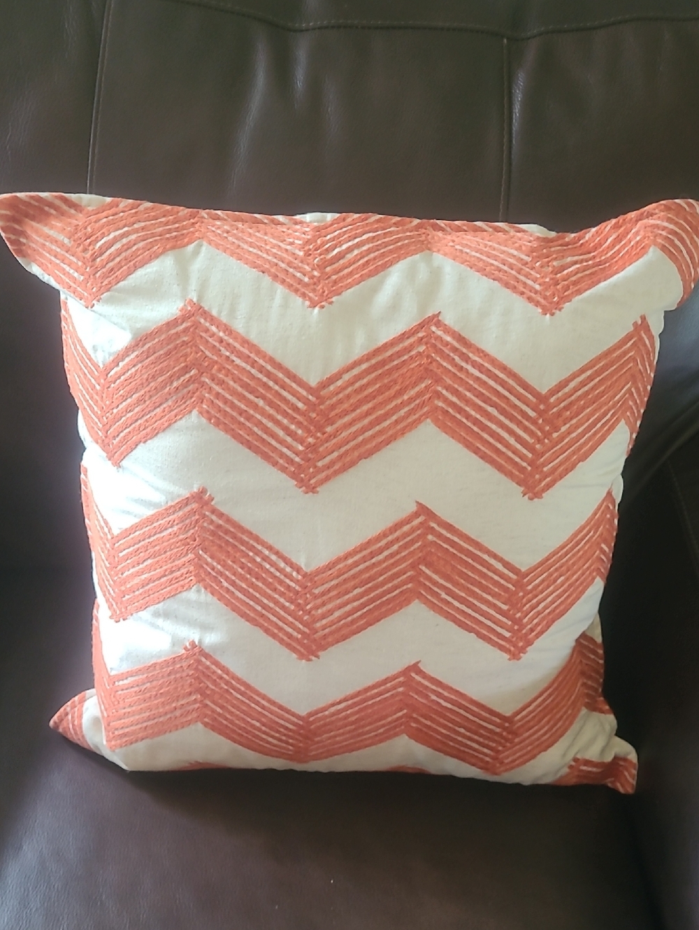 Pottery Barn Throw Pillow